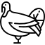 Pavo